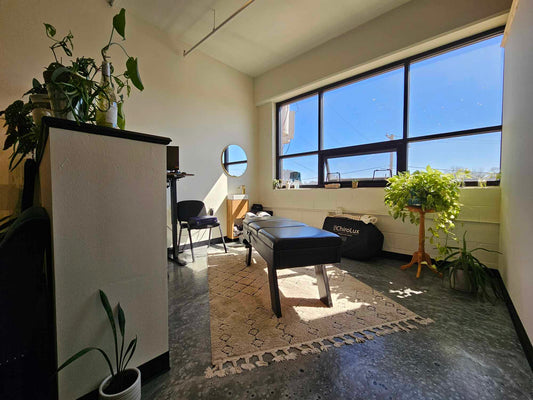 Chiropractic Adjustment 10 visits